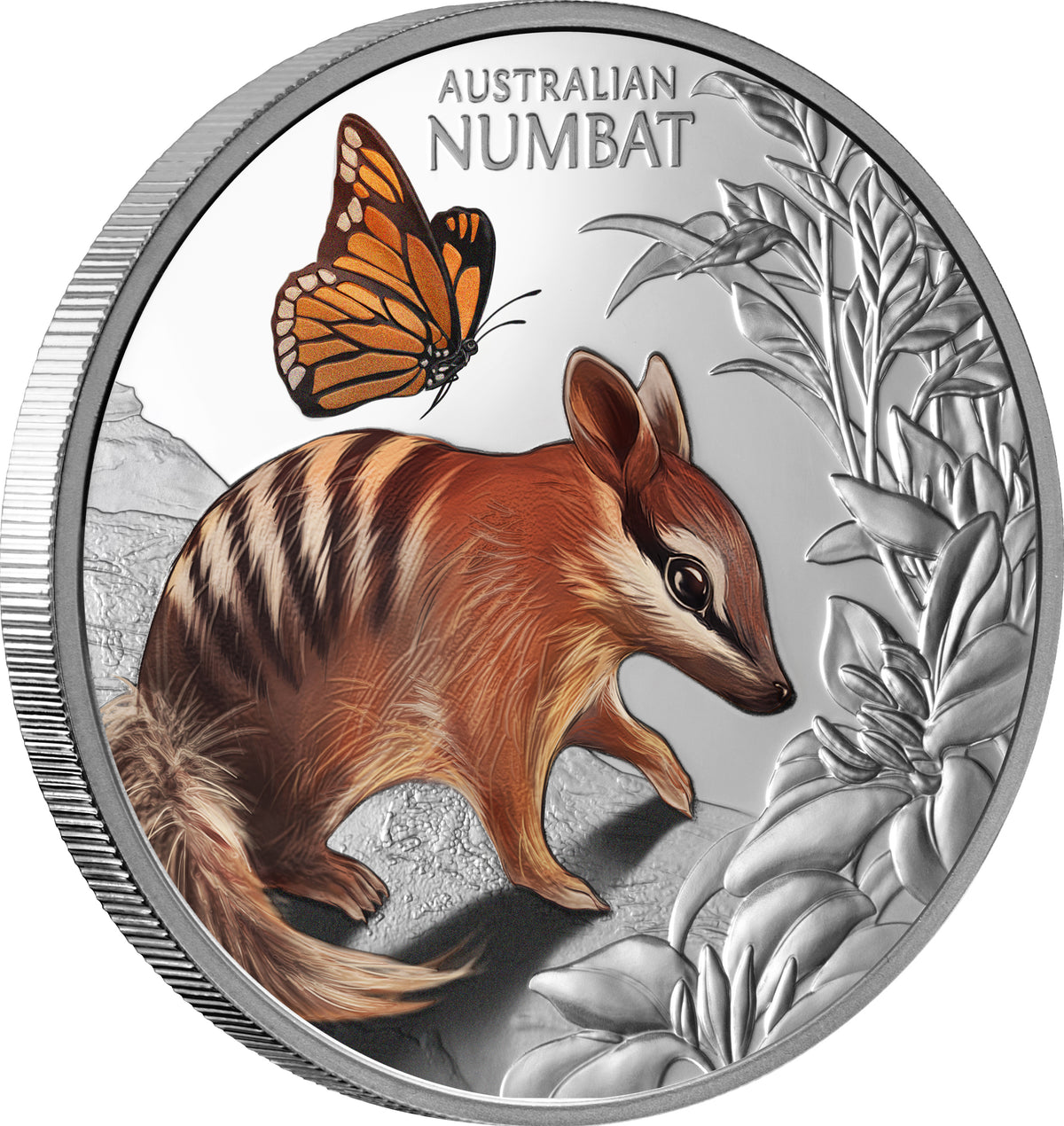 Niue 2025 $1 BABY NUMBAT 1oz .999 Silver