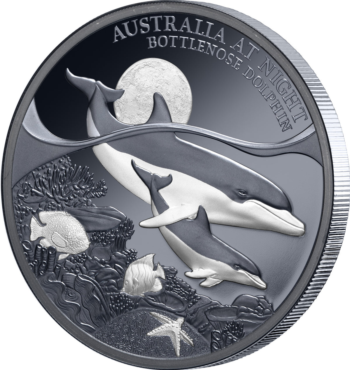 Australia at Night Bottlenose Dolphin 2025 $1 1oz Silver Black Proof Coin
