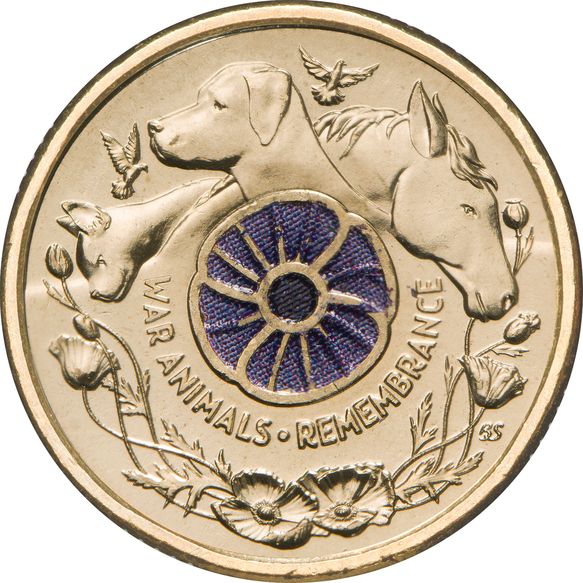 Reverse of Australia’s 2024 $2 War Animals coin, featuring a purple poppy surrounded by a dog, horse, donkey, pigeons and floral details.
