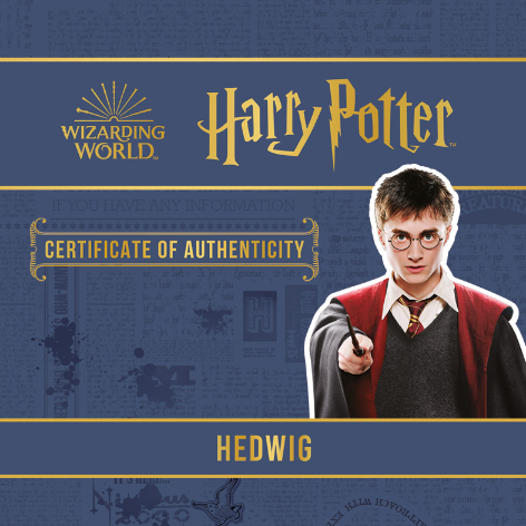 Certificate of Authenticity for Hedwig from Harry Potter with a character holding a owl on a blue background.