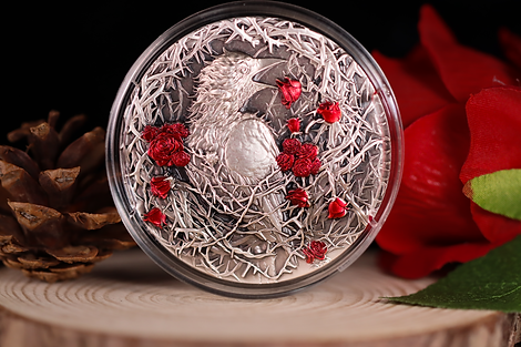 Gabon 2025 3000 Francs CFA Greater Thorn Bird 3oz .999 Antique Silver High relief Box Detail Detail UHR Banner Reverse Banner