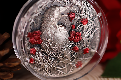 Gabon 2025 3000 Francs CFA Greater Thorn Bird 3oz .999 Antique Silver High relief Box Detail Detail UHR Banner Reverse Detail 3