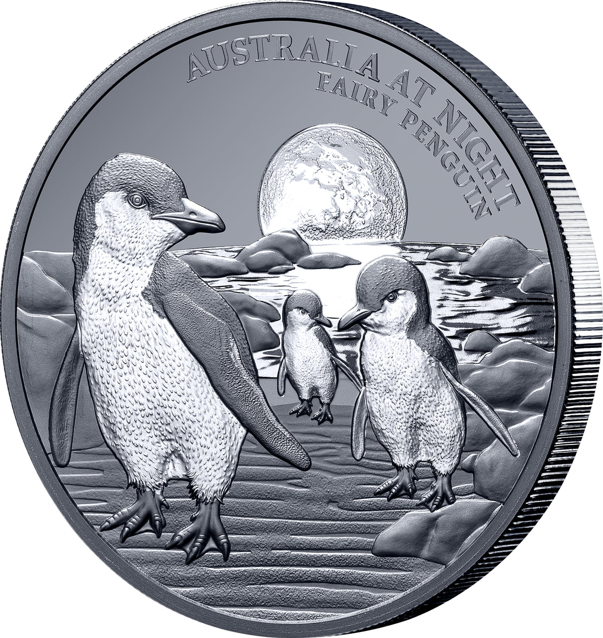 #111 CERTIFICATE Niue 2024 $1 Australia at Night Fairy Penguins 1oz Silver Black Proof Coin