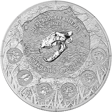 Silver coin with intricate design and text, featuring the Republic of Liberia and year 2020.
