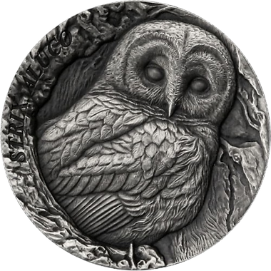 Samoa 2024 $2 TAWNY OWL STRIX ALUCO TREE HOLLOW 1 oz .999 Antique Silver UHR Reverse
