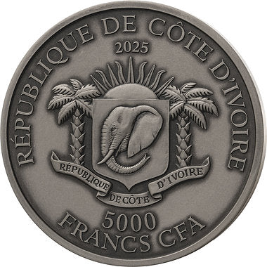 Silver coin with elephant emblem and text 'Republique de Cote d'Ivoire' on a white background