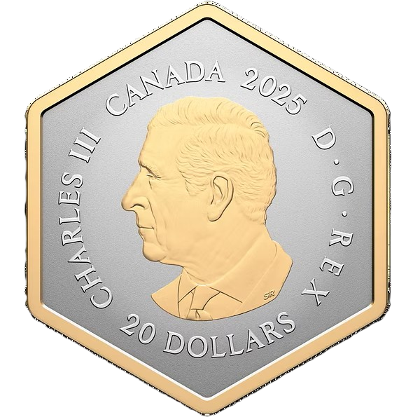 Canada 2025 $20 Nature’s Delight Honey Bee 32 Grams .9999 Fine Silver Coin