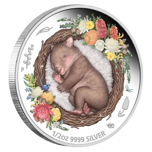 Australia Dreaming Down Under Wombat 2021 50c Coloured 1/2oz Silver Proof Coin Perth Mint