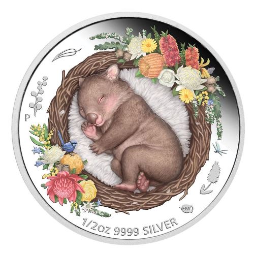 Australia Dreaming Down Under Wombat 2021 50c Coloured 1/2oz Silver Proof Coin Perth Mint