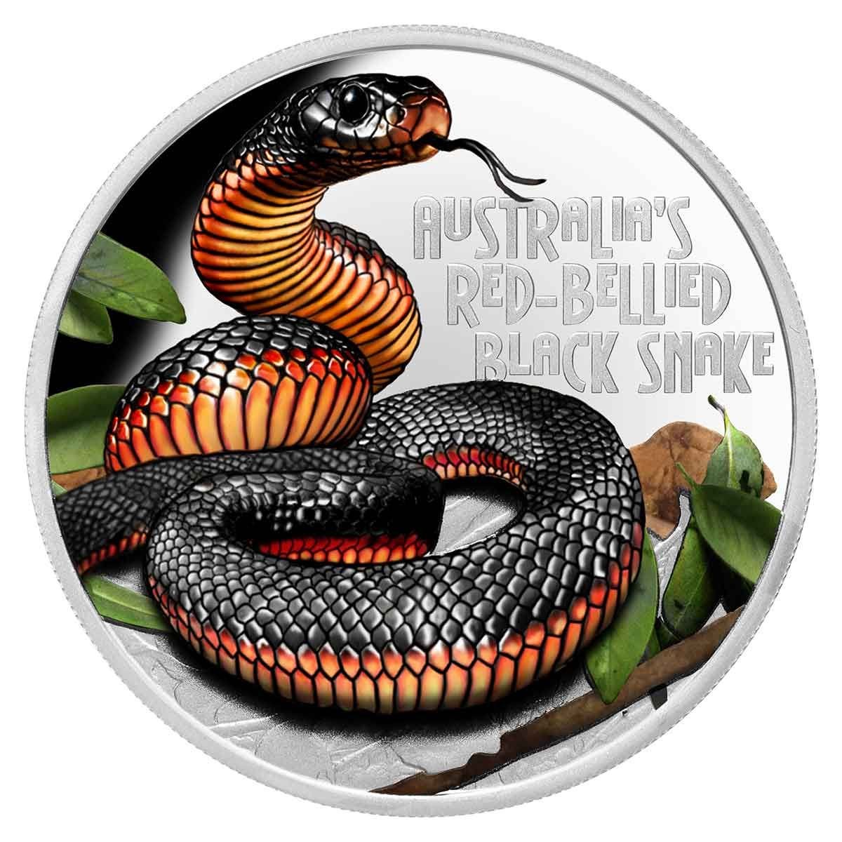 Niue 2022 $1 Deadly & Dangerous Red-Bellied Black Snake Coloured 1oz 99.99% Silver Proof Coin