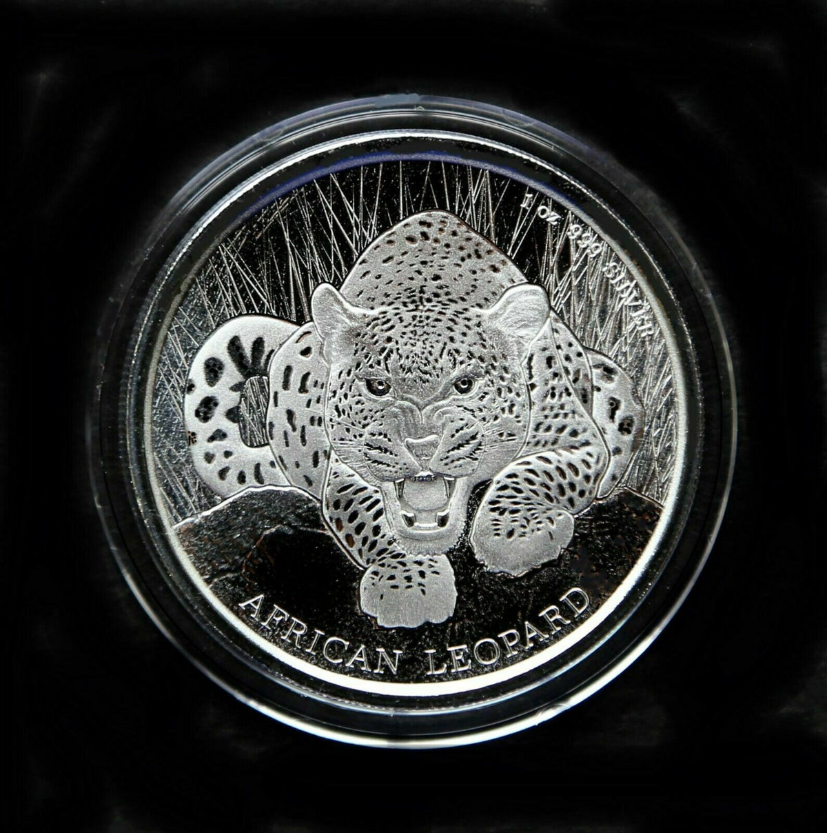 Ghana 2017 5 Cedis African Leopard Scottsdale Mint 1 Oz Silver Prooflike