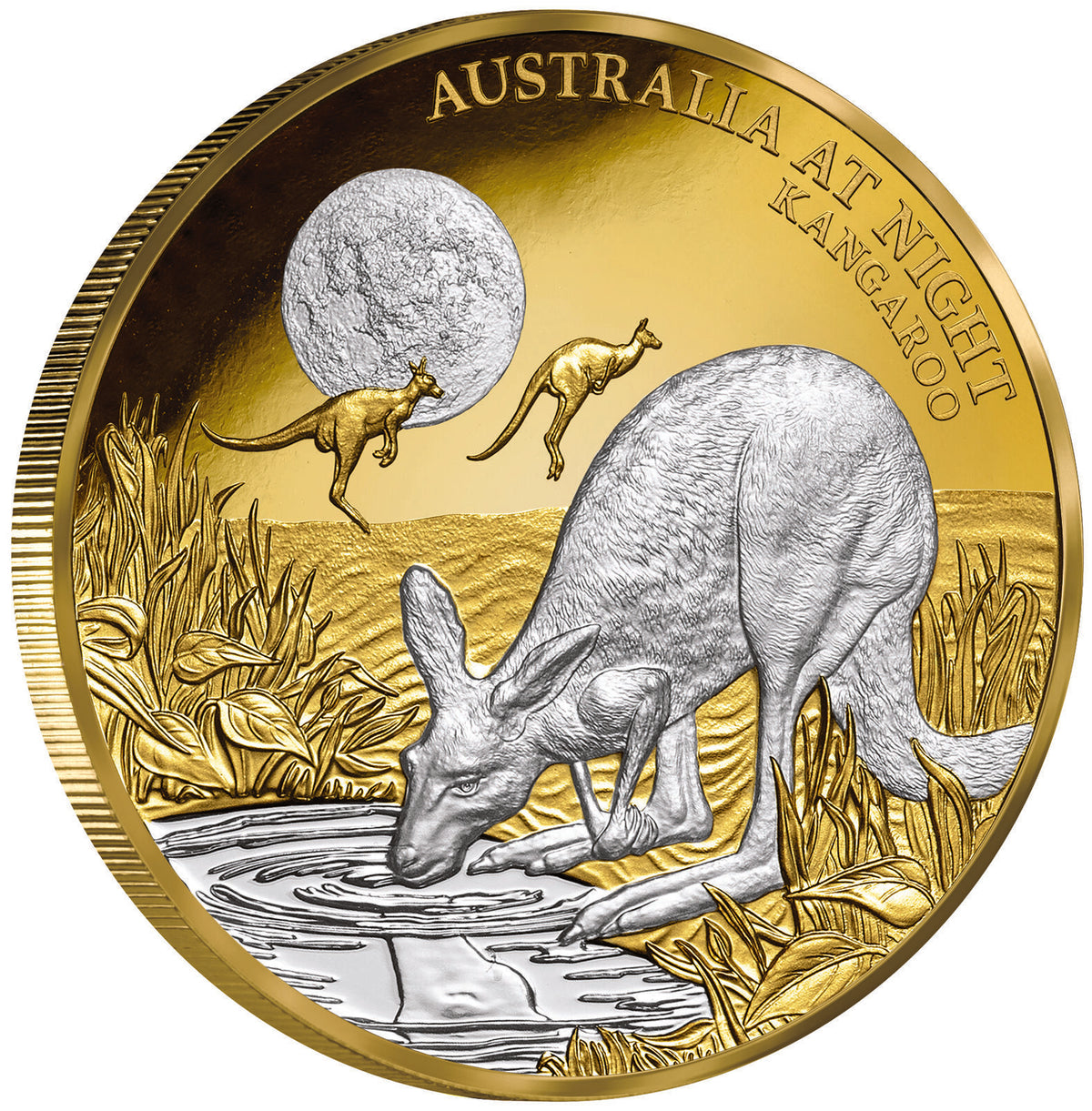 Niue 2020 $100 Proof Australia At Night Kangaroo 1 Oz Gold Platinum Plate