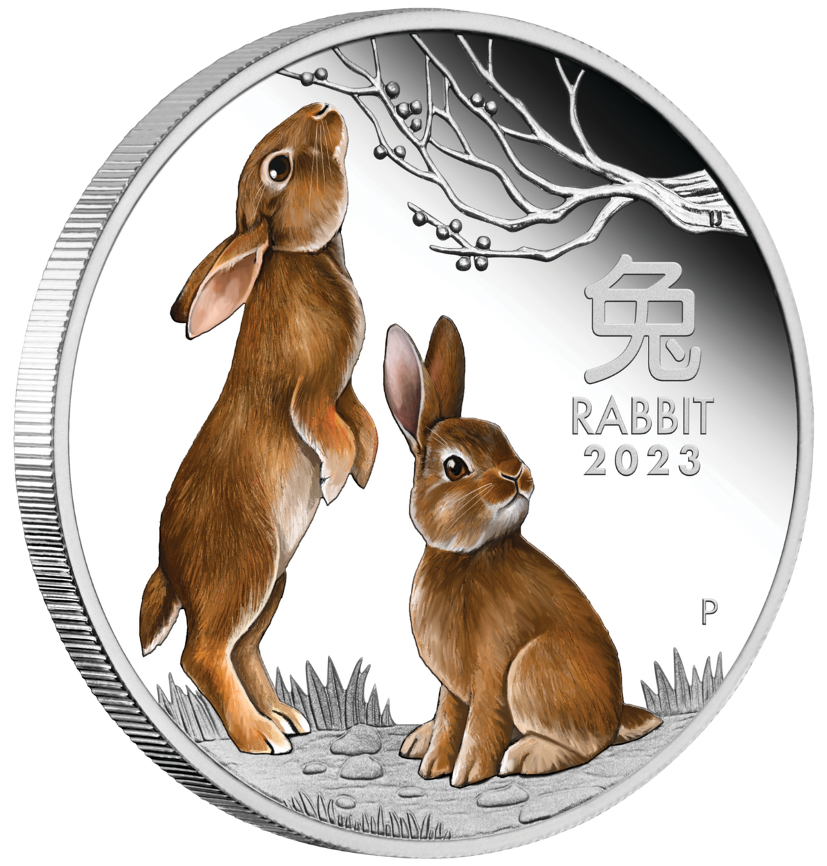 Australian Lunar Series III 2023 $1 Year of the Rabbit 1oz .999 Silver Proof Coloured Coin Perth Mint