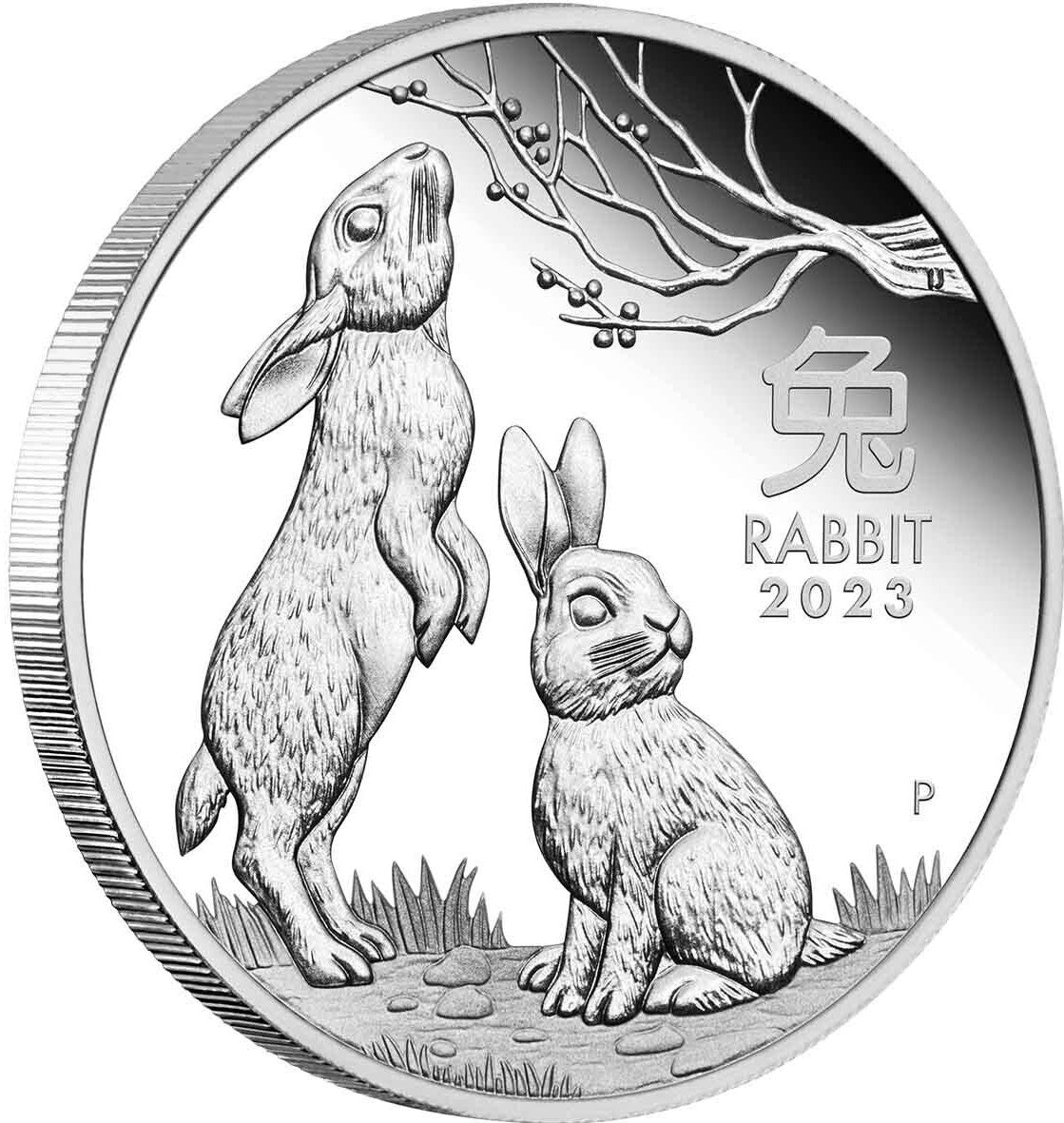 Australia 2023 $1 Year of the Rabbit 1oz 99.99% Silver Proof Coin - Lunar Series III - Perth Mint