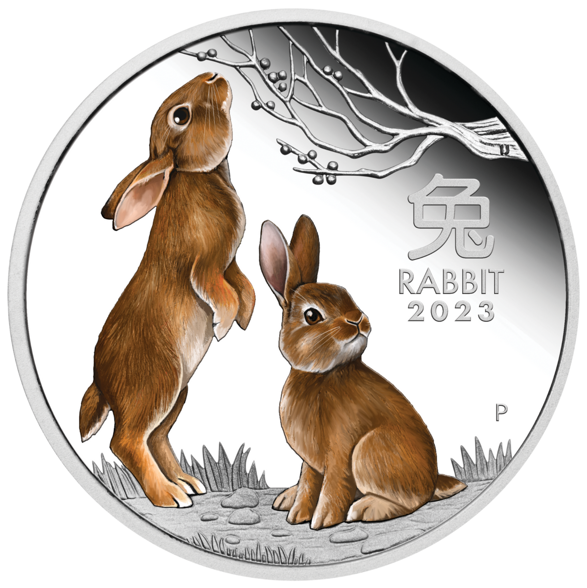 Australian Lunar Series III 2023 $1 Year of the Rabbit 1oz .999 Silver Proof Coloured Coin Perth Mint