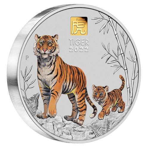 Collectable Big Coins