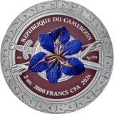 A circular commemorative coin for the Republic of the Cameroan 2000 Francs, featuring a detailed blue iris flower in the center, flanked by crossed swords on a dark red background with an ornate silver border.