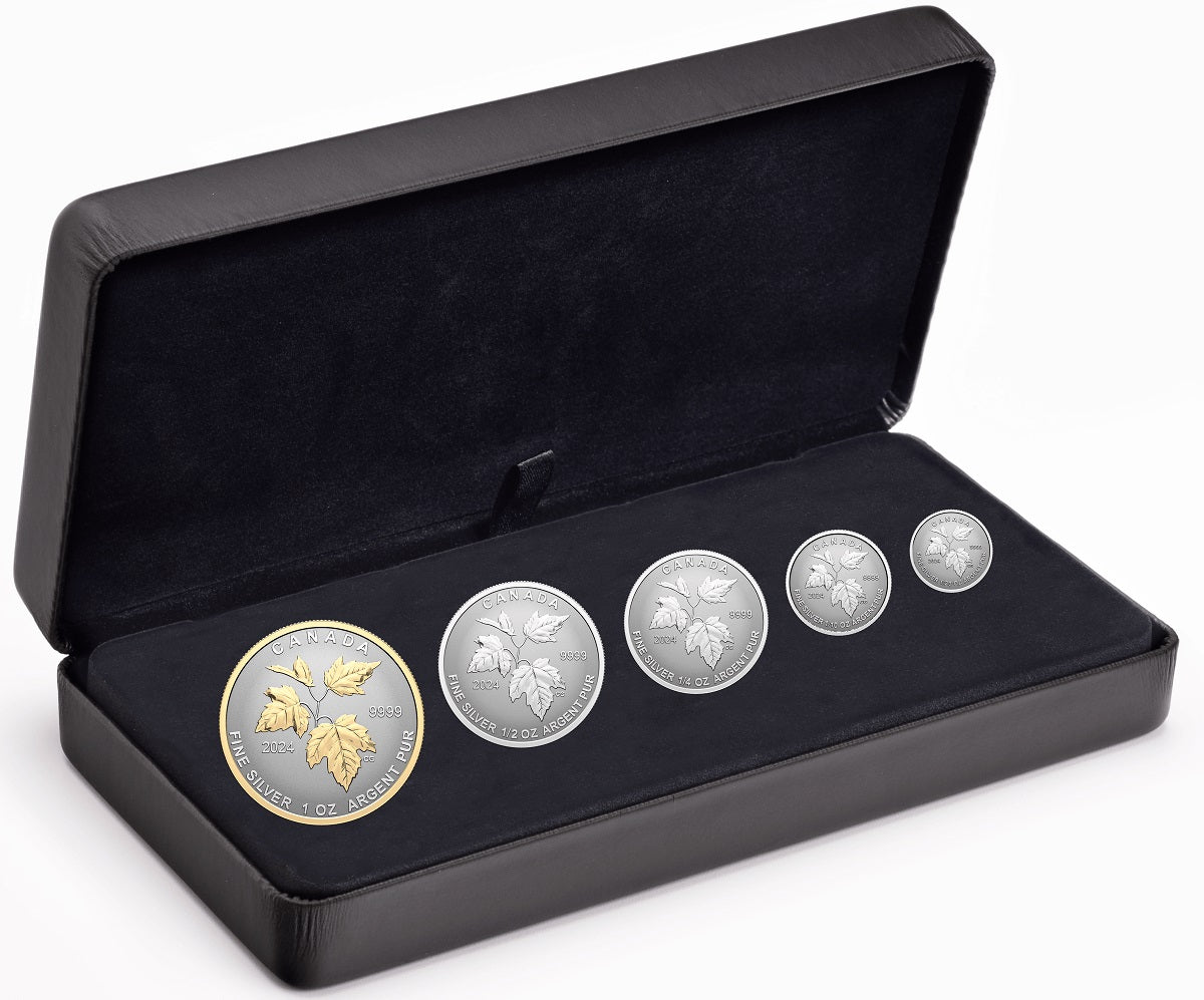 A set of five silver coins with gold plating, including a large coin with a maple leaf design and smaller coins in a case with a molded edge.
