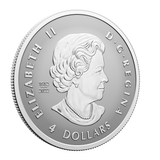 Canada 2024 Autumn Beauty Fractional Silver Coin Set