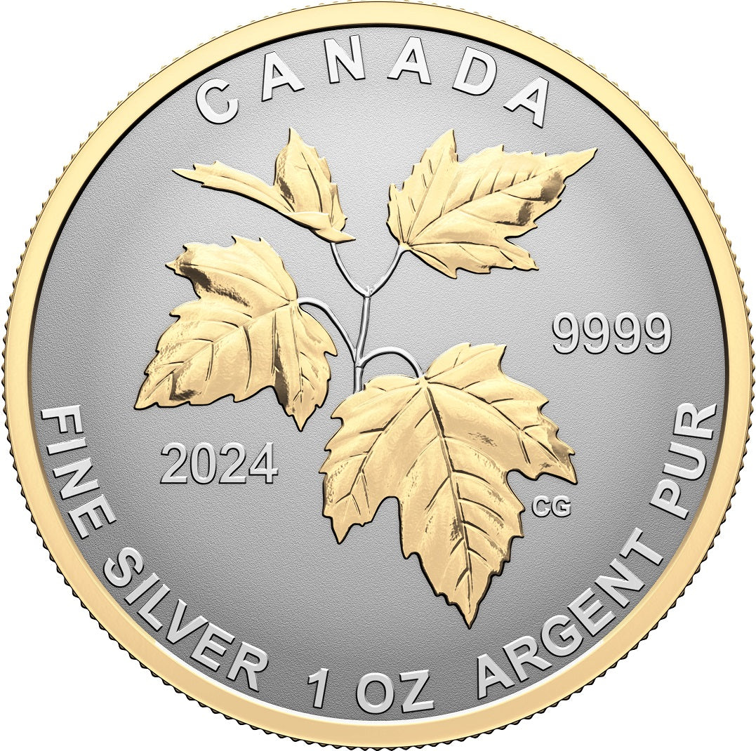 Reverse of 1 oz coin from Canada 2024 Autumn Beauty Fractional Silver Coin Set. Gilded