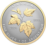 Reverse of 1 oz coin from Canada 2024 Autumn Beauty Fractional Silver Coin Set. Gilded