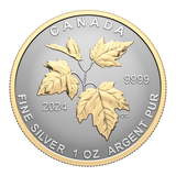 Canada 2024 Autumn Beauty Fractional Silver Coin Set