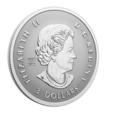 Canada 2024 Autumn Beauty Fractional Silver Coin Set