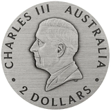 Ausralia 2025 $2 HONEY BEE 2oz .9999 Silver Antiqued Coloured Coin