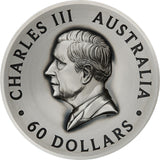 Silver coin with a portrait of Charles III and text 'Charles III Australia 60 Dollars'.
