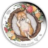 Australia 2021 50 Cent Dreaming Down Under – Dingo 1/2oz Silver Proof Coin