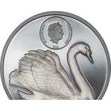 Cook Islands 2023  $10 Black Swan 2oz Silver High Relief Coin  CIT Smartminting®
