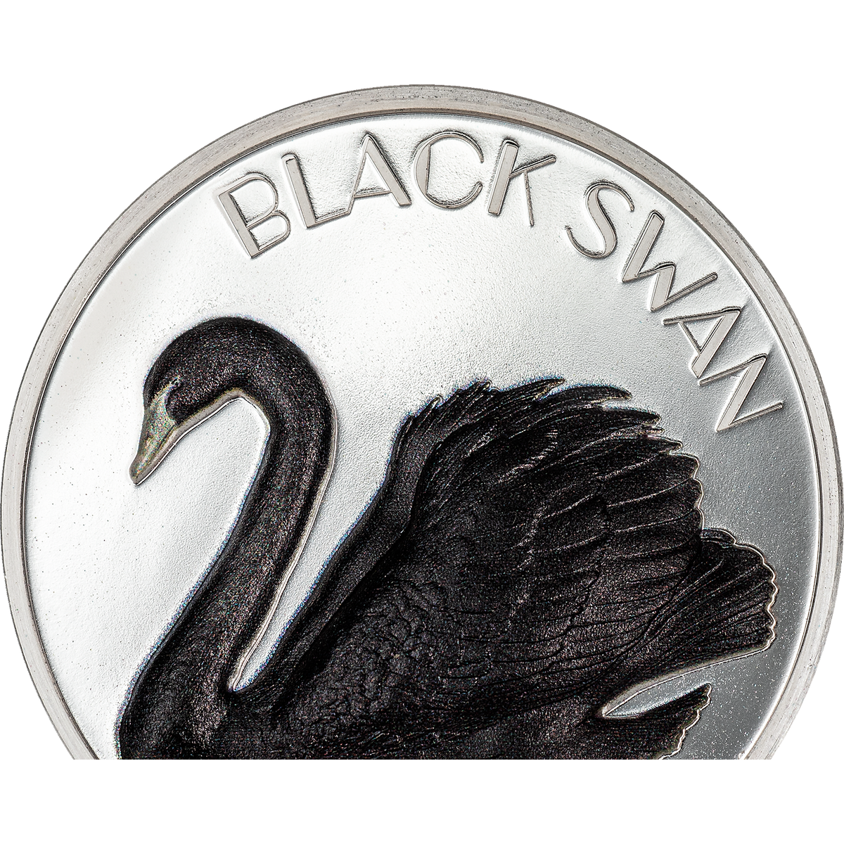 Cook Islands 2023  $10 Black Swan 2oz Silver High Relief Coin  CIT Smartminting®