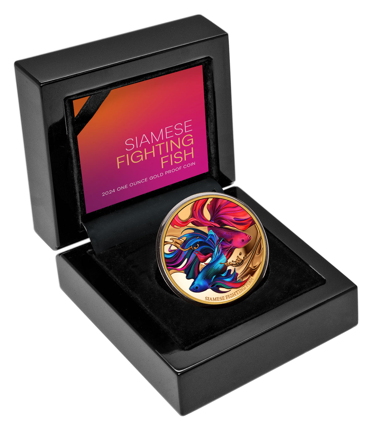 Niue 2024 $100 Siamese Fighting Fish Gold 1oz .9999 Coloured Proof Coin