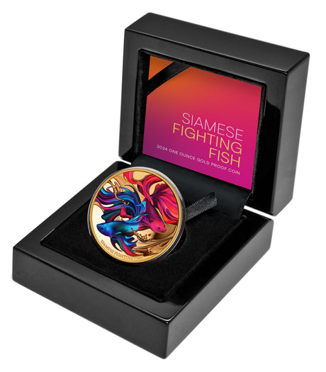Niue 2024 $100 Siamese Fighting Fish Gold 1oz .9999 Coloured Proof Coin