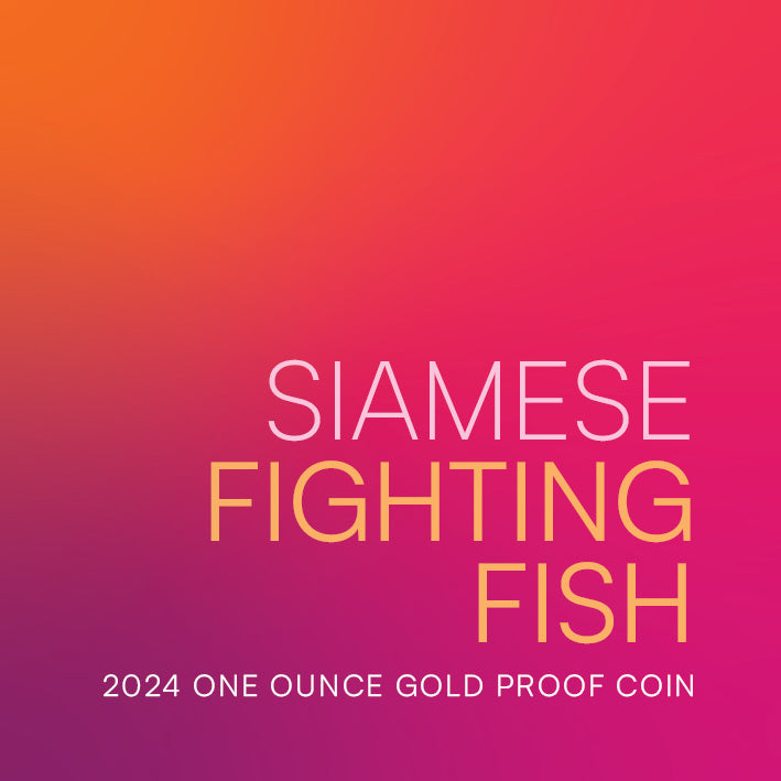 Niue 2024 $100 Siamese Fighting Fish Gold 1oz .9999 Coloured Proof Coin