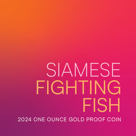 Niue 2024 $100 Siamese Fighting Fish Gold 1oz .9999 Coloured Proof Coin