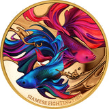 Niue 2024 $100 Siamese Fighting Fish Gold 1oz .9999 Coloured Proof Coin