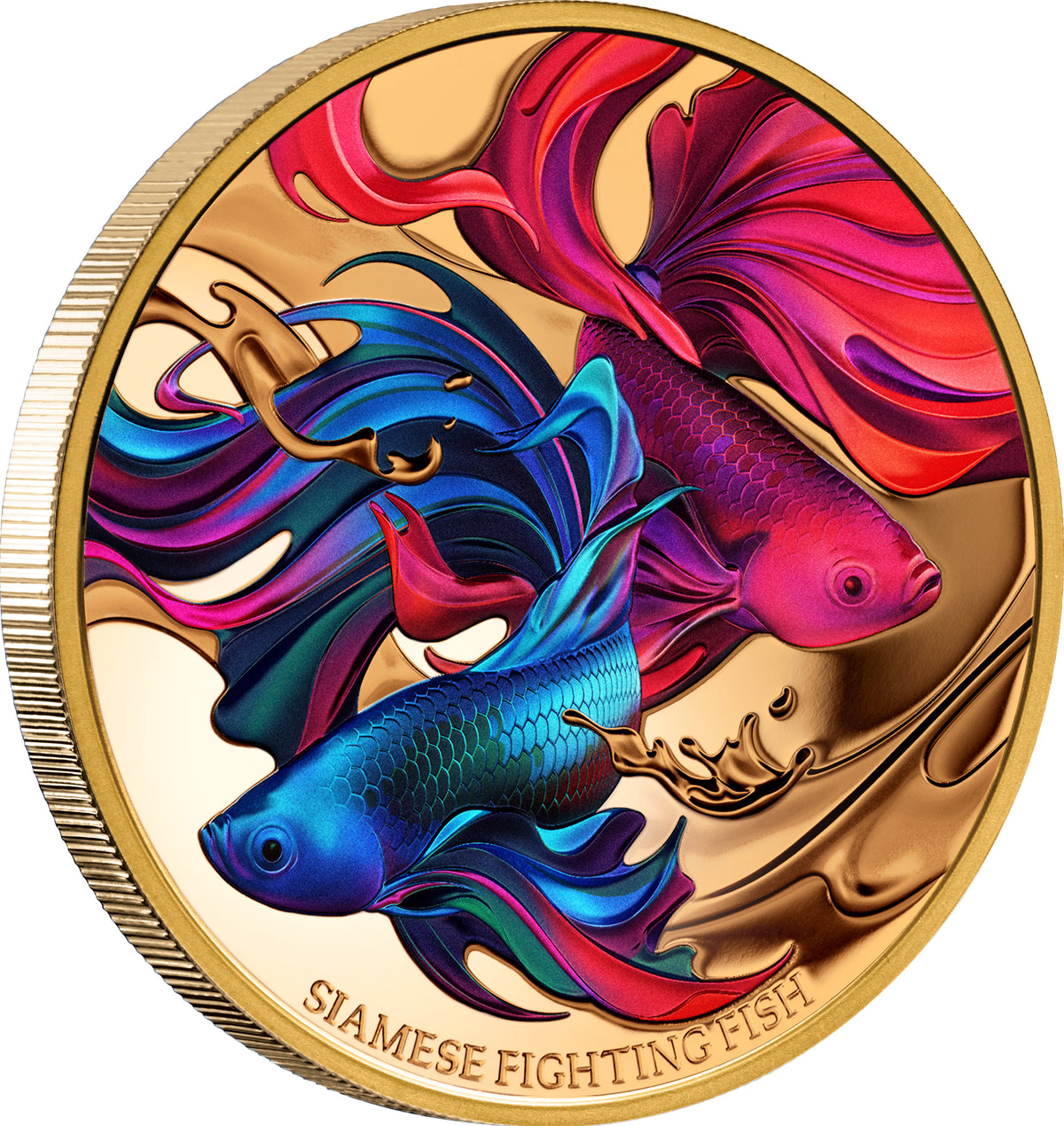 Niue 2024 $100 Siamese Fighting Fish Gold 1oz .9999 Coloured Proof Coin