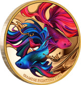 Niue 2024 $100 Siamese Fighting Fish Gold 1oz .9999 Coloured Proof Coin