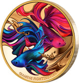 Niue 2024 $100 Siamese Fighting Fish Gold 1oz .9999 Coloured Proof Coin