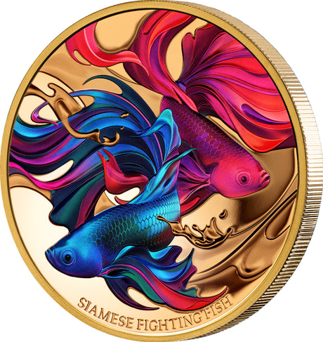 Niue 2024 $100 Siamese Fighting Fish Gold 1oz .9999 Coloured Proof Coin