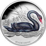 Niue 2024 $1 Black Swan 1oz 999 Silver Proof Coin