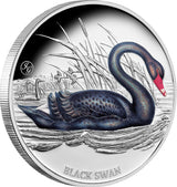 Niue 2024 $1 Black Swan 1oz 999 Silver Proof Coin