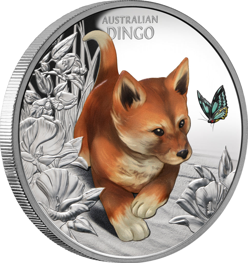 Niue 2024 $1 Baby Dingo 1oz Silver Proof Coin Reverse Left Rim