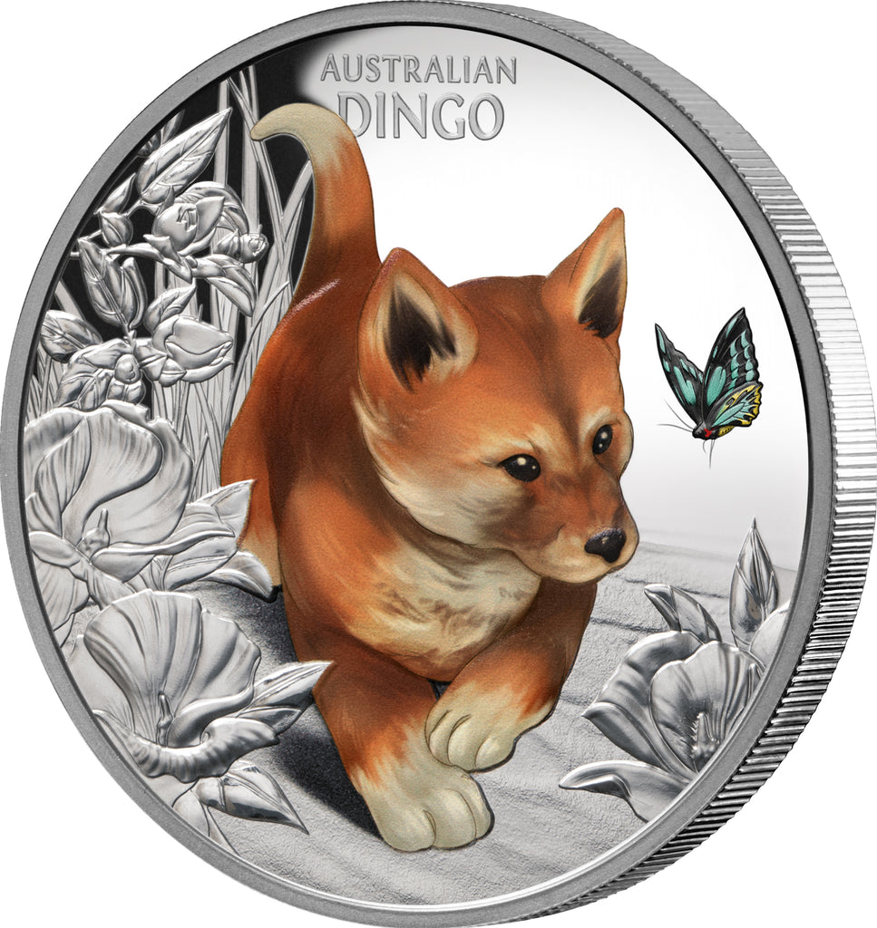 Niue 2024 $1 Baby Dingo 1oz Silver Proof Coin Reverse Right Rim