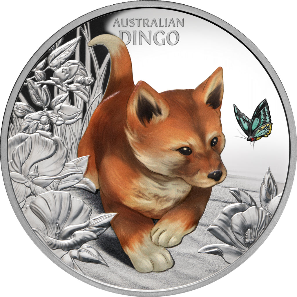 Niue 2024 $1 Baby Dingo 1oz Silver Proof Coin Reverse