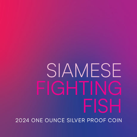 Niue 2024 $1 Siamese Fighting Fish 1oz .999 Silver Proof Coin