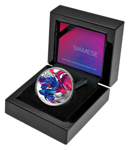 Niue 2024 $1 Siamese Fighting Fish 1oz .999 Silver Proof Coin