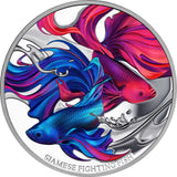 Niue 2024 $1 Siamese Fighting Fish 1oz .999 Silver Proof Coin