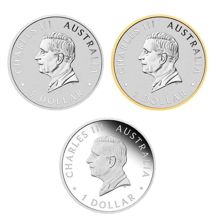 Australia 2024 $1 125th Anniversary Typeset 4 x 1oz Silver Perth Mint